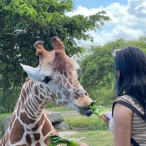 Meet your Posher, Kelsha